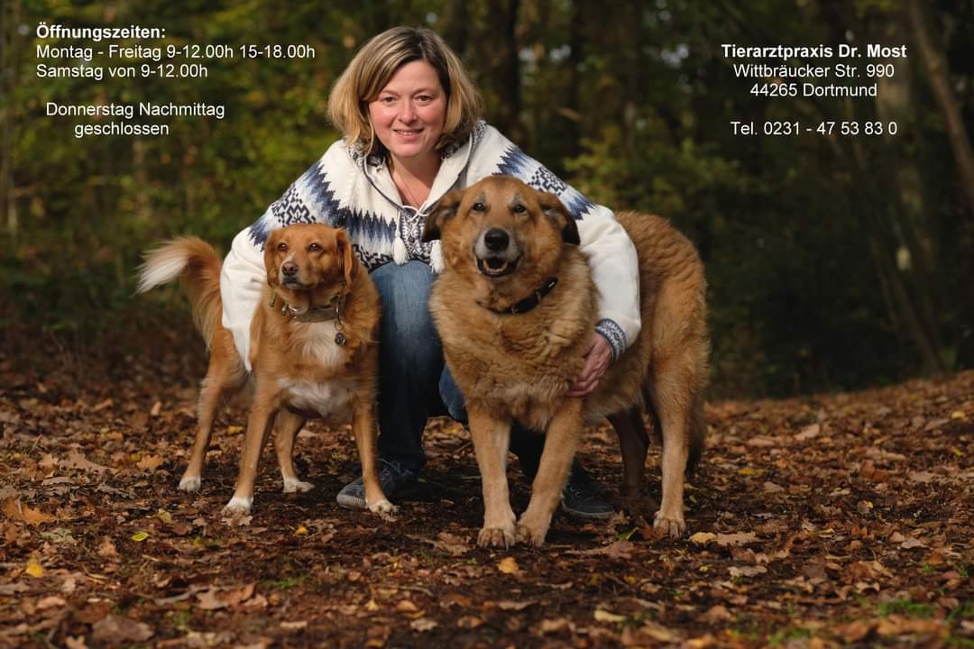 Seminar: Erste Hilfe am Hund